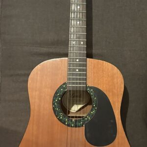 Shania Twain - Autographed Laredo guitar